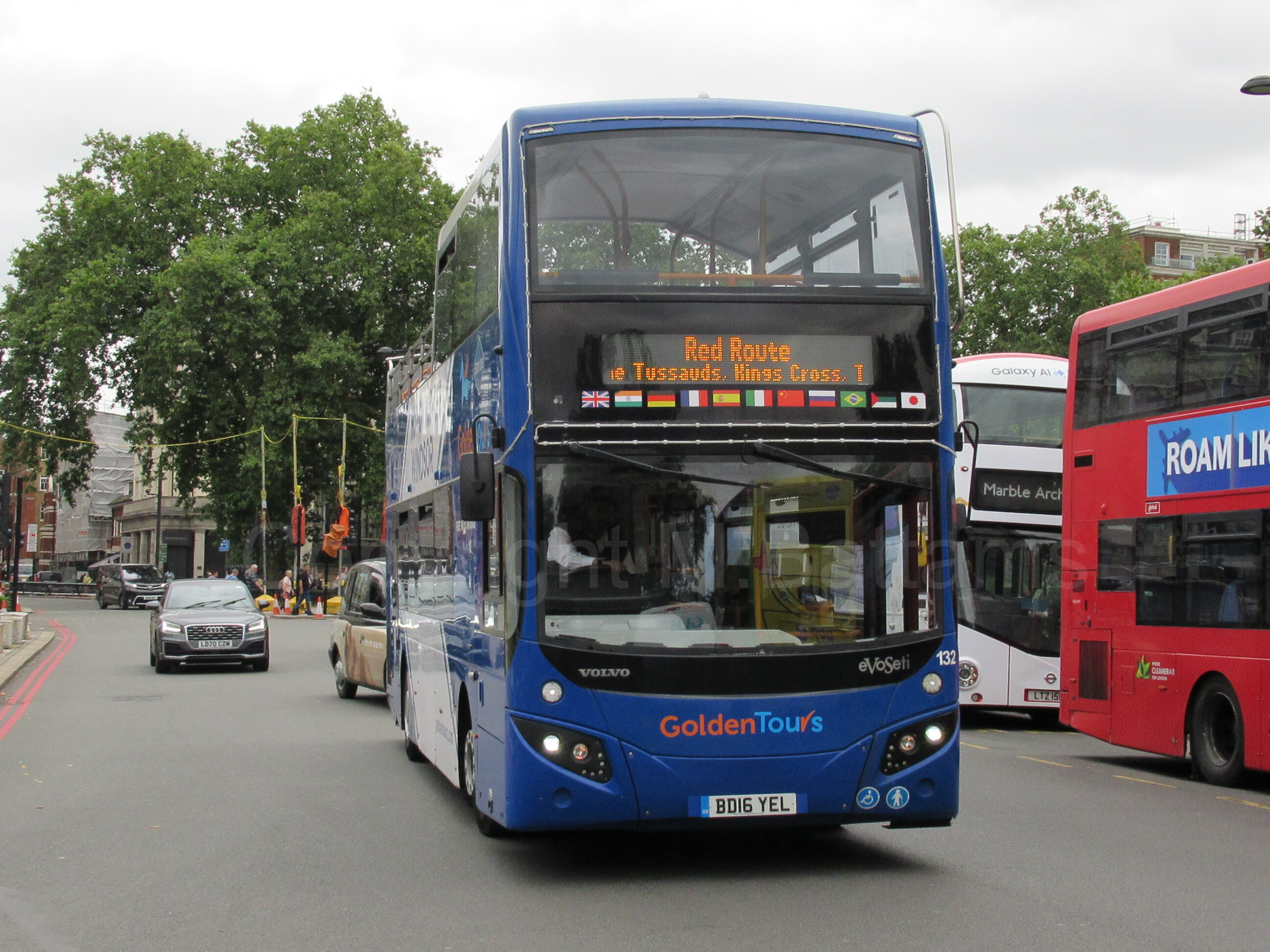 BD16 YEL
