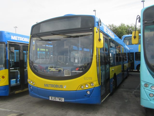 Bus photo 1