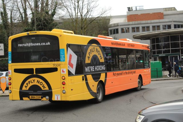 Bus photo 2