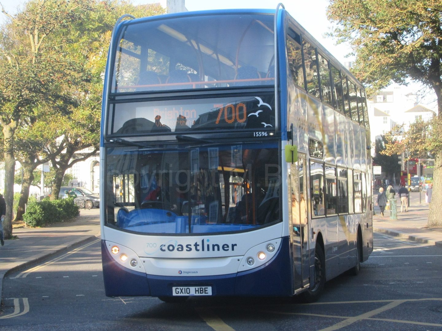 Bus photo 1