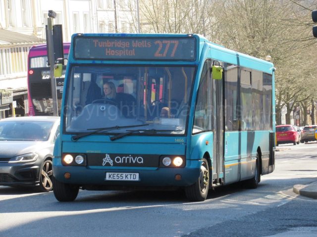 Bus photo 1