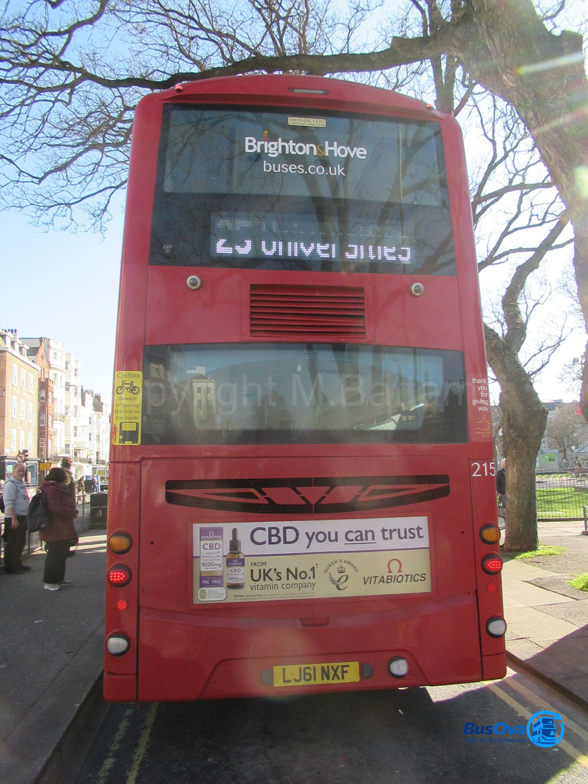 Bus photo 2