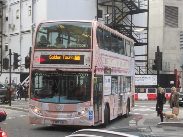 Bus photo 1