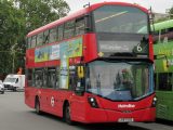LK67 EOG