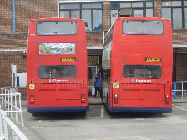 Bus photo 1