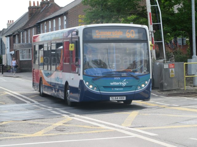 Bus photo 1