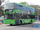 YT59 DYP