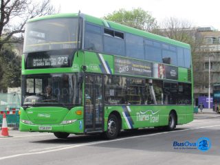 YT59 DYP