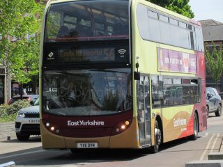 YX11 DVM