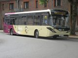 YX65 PYO